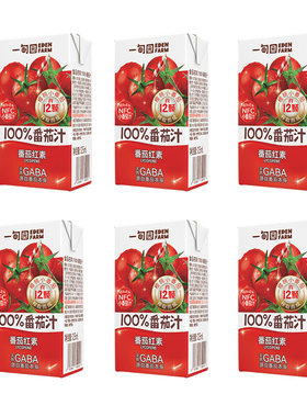 一甸园100%FC番茄汁小包装125mL