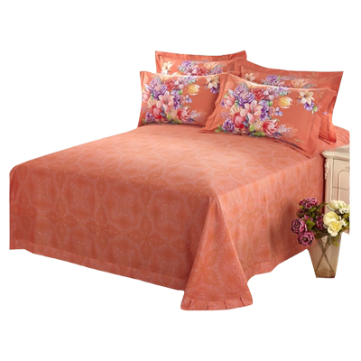 全棉磨毛活性100%棉加厚床单