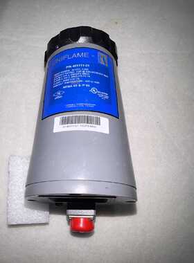 询价FORNEY福尼401111－01炉膛火焰探测器