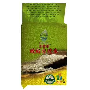胚芽米晚稻香粳米南粳46江苏新米梗不抛光米优质油粘米9108鲜大米