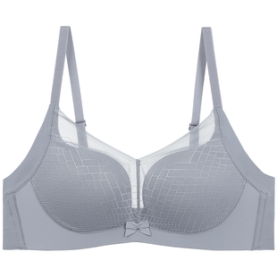 【舒挺杯】安莉芳旗下E-BRA网纱文胸女小胸聚拢无钢圈内衣KB00271