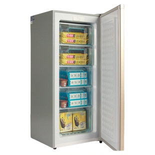 荣事达68升/228L立式冰柜家用单温冷柜-22℃全冷冻立式母乳小冰箱