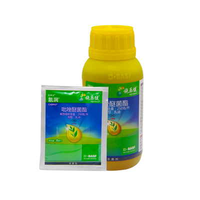 巴斯夫凯润叶斑病吡唑醚菌酯