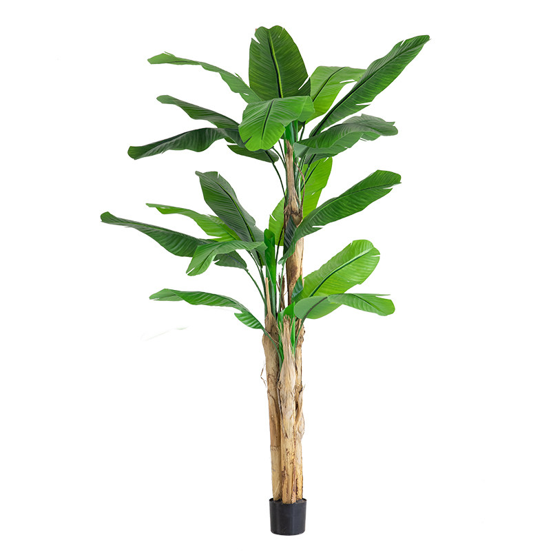 七茉高档热带商场室内装饰芭蕉树