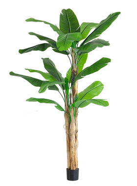 七茉高档热带商场室内装饰芭蕉树