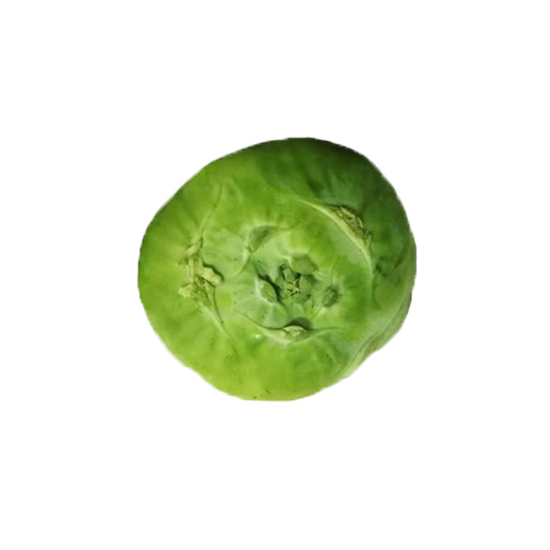天津特菜青苤兰种子水果绿苤蓝四季春季秋冬季蔬菜种籽盆栽蔬菜