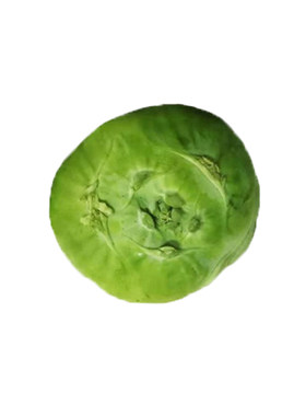 天津特菜苤蓝春季0冬季盆栽种子