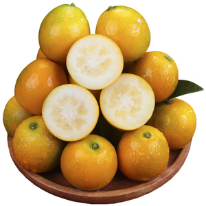 【独立包装】正宗融安脆皮金桔