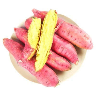 板栗红薯现挖现发粉糯香甜
