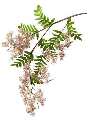 高档槐蕊花假花仿真花摆设高级感