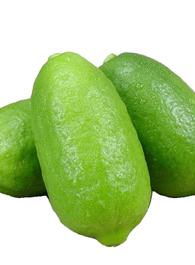广东香水柠檬9斤【奶茶店专用】
