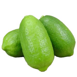 广东香水柠檬9斤【奶茶店专用】