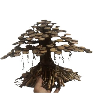 鱼缸造景树生命之树沉木水草骨架迎客松造景全套溪流缸成品莫斯树