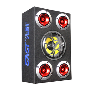 先科音响蓝牙音箱五喇叭大功率立体环绕家用12V车用重车载低音炮