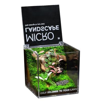 苔藓微景观生态缸雨林造景客厅办公室桌面绿植盆栽生态瓶创意礼物