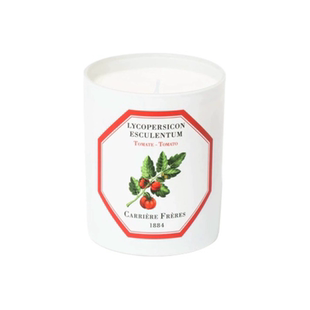 法国CarriereFreres植物学家CF香薰蜡烛小番茄栀子花薄荷试香小样