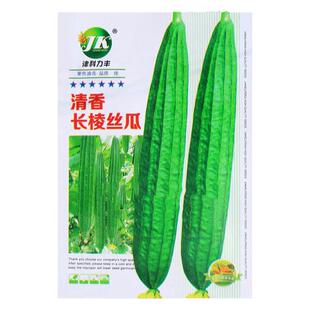 长棱丝瓜种子八角棱丝瓜种籽香丝瓜早熟高产耐热耐寒蔬菜种孑春季