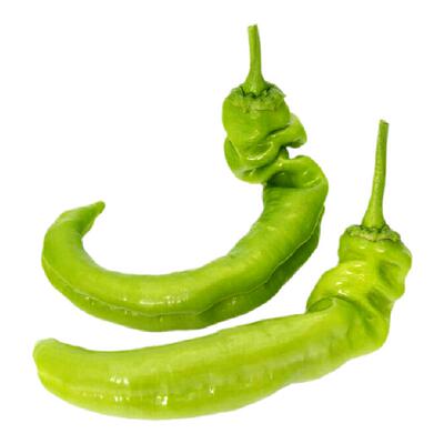 密云农家当日采摘清脆尖椒