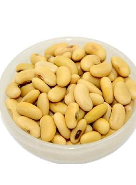 豆浆非转基因肾形黄豆