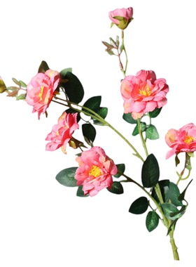 仿真月季花客厅桌面插花装饰摄影