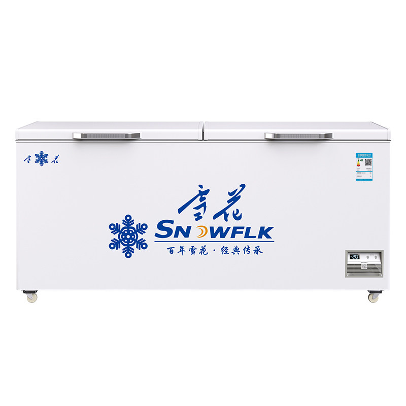 【国企制造】雪花商用冷冻大冰柜