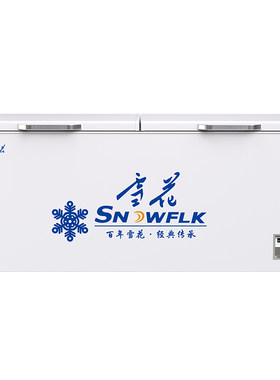 【国企制造】雪花商用冷冻大冰柜