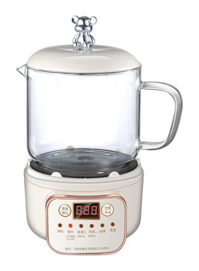 小型养生壶多功能电陶炉煮茶器