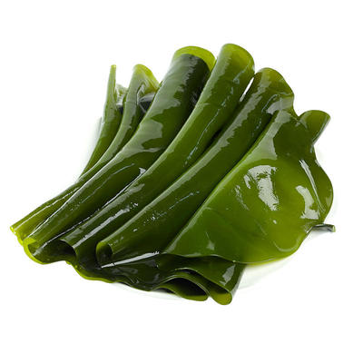 溢源盐渍海带包饭整条原料菜新鲜凉拌煲汤饭包非干货食材海带丝头