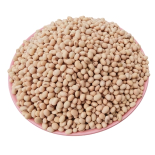 2025新黄豆老品种黄豆笨黄豆农家土黄豆非转基因大豆椭圆黄豆包邮