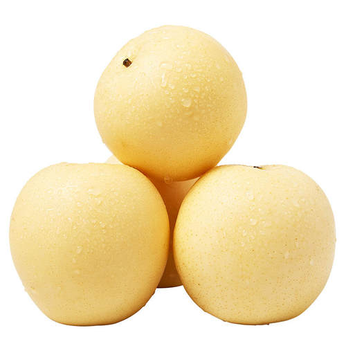 白皇冠梨脆甜多汁果园直采5斤新鲜水果整箱包邮