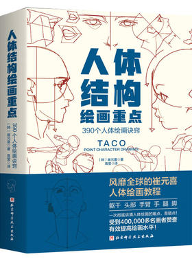 人体结构绘画重点人体结构