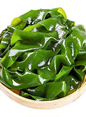5斤裙带菜叶海藻火锅食材批发