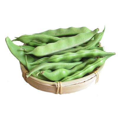 现摘油豆角东北大宽九月青嫩新鲜