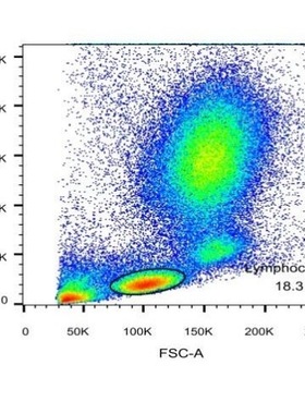 流式实验指导解惑，流式数据分析解惑