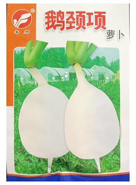 丰邦鹅颈项贼不偷白萝卜种子15克
