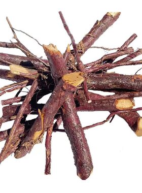 红豆杉树根宜兰山红豆杉老树根含紫杉醇中药材赤柏松红豆杉树根