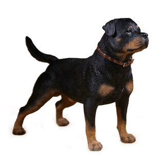 JXK 1/6罗威纳犬模型警犬兵人仿真动物狗潮玩创意周边摆件手办