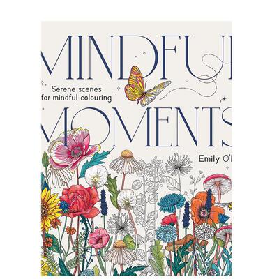 【预售】心灵时刻：心灵宁静场景填色本 Mindful Moments : Serene Scenes for Mindful Colouring 原版英文心灵励志