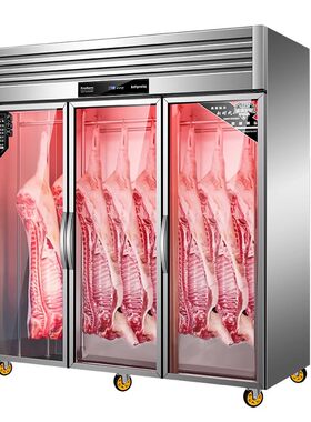 扬子挂肉柜商用保鲜冷冻柜