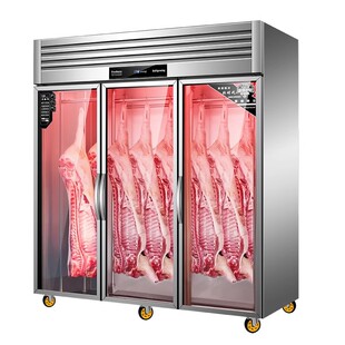 扬子挂肉柜商用保鲜冷冻排酸立式冷柜牛羊肉吊肉柜冷藏展示柜
