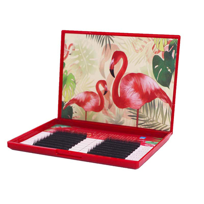 浓密山茶花卷度单根种植自然扁毛