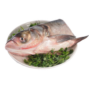 查干湖弱碱淡水有机鱼头1斤1只标切净膛速冻真空保鲜包邮