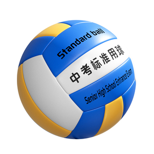 排球初中生2025中考专用标准款中学生体育考试上海训练5号硬拍球