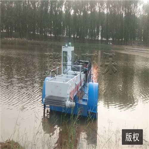 全自动水上割草船 河道湖泊清理水草设备 小中大型水草打捞船