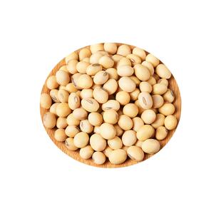 新货椭圆黄豆5斤农家自种大粒黄豆笨黄豆土黄豆五谷杂粮煮粥煲汤
