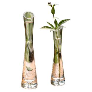 花插瓶轻奢迷你花器小口径玻璃瓶餐桌摆件洗手间鲜花一枝插花水培