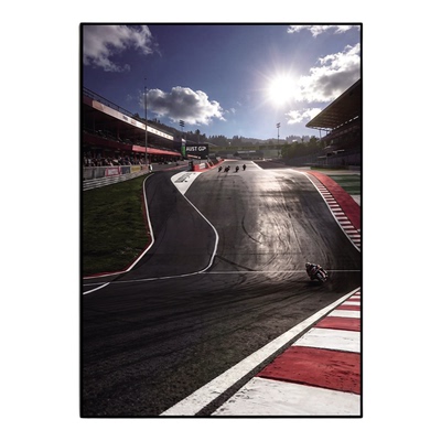 WSBK张雪机车夺冠世界名画装饰画超级摩托车赛事挂画男生卧室壁画