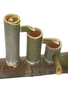 摆件书老伯竹艺竹子新鲜招财流水