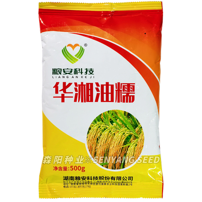 华湘油糯水稻种子灿型常规糯稻