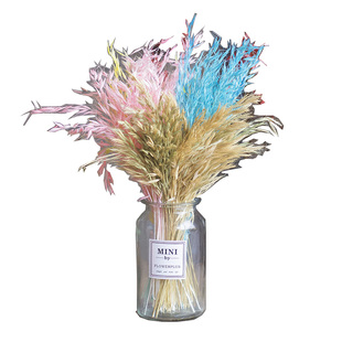 天然真小麦燕麦水稻芦苇稻穗花束麦穗干花装饰家居客厅摆设大麦